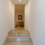 The *