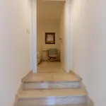 The *