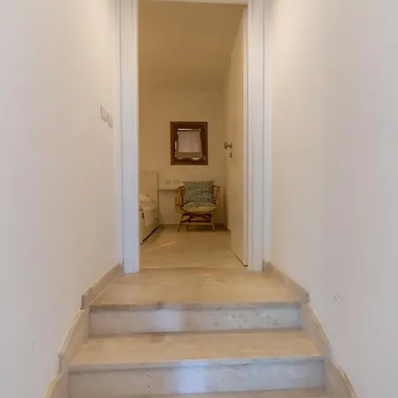 The *